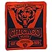 Northwest NFL Marquee Logo Lightweight Chicago Bears Fleece Blanket