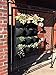 Delectable Garden 12 Pocket Hanging Vertical Garden Wall Planter For Yard Garden Home Decorationthumb 4