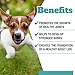 Vets Preferred Glucosamine Joint Support for Dogs - Hip and Joint Supplement for Dogs with Chondroitin, and MSM. Maximum Strength for Dog Hip and Joint Relief, (Puppy Formula)