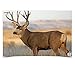 Birchwood Casey 37482 Eze-Scorer Mule Deer Paper Target (2 Count), 23 x 35-Inch