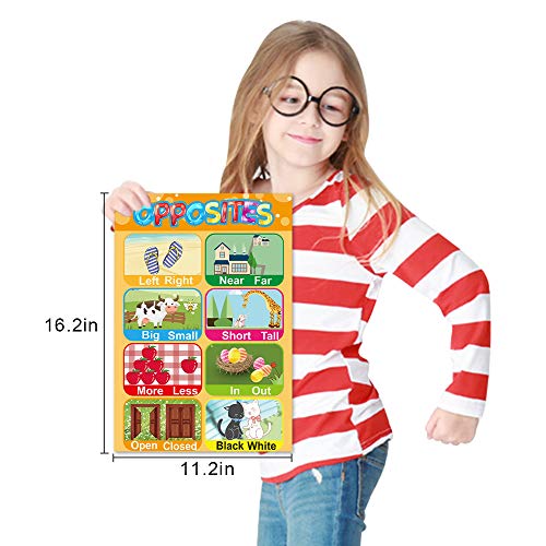 Educational Posters for Preschoolers Toddlers Kids Kindergarten Classrooms Alphabet Letters, Numbers, Shapes, Colors, Seasons, Week, Months, More,11 x 16 Inch,12PCS - Thumbnail 5