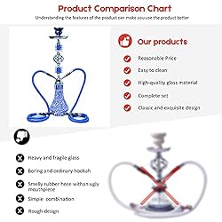 Premium 21” Luxury 2 Hose Hookah Set with