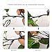 YILIYAJIA 3PCS Artificial Rose Garlands Silk Fake Rose Flowers Green Leaves Vine for Home Hotel Office Wedding Party Garden Craft Art Decor (Champagne Color)