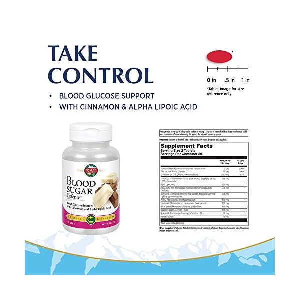 KAL® Blood Sugar Defense Blood Glucose Support with Cinnamon and