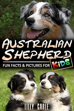 australian shepherd children