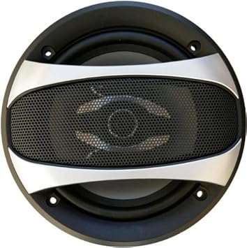 bass rockers speakers