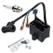 CDI Ignition Coil & Spark Plug 50cc 66cc 80cc Engine Motor Motorized Bicycle Bike primary