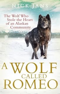 A Wolf Called Romeo Jans Nick 9780547858197 Amazon Com Books