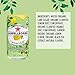 Sanpellegrino Limone &te Sparkling Organic Juice & Tea Beverage Blend 8.45 fl oz. (24 Pack)