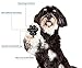 LOOBANI 48 Pieces Dog Paw Protector Traction Pads to Keeps Dogs from Slipping On Floors, Disposable Self Adhesive Shoes Booties Socks Replacement, 12 Sets for 4 Paws (L-1.69