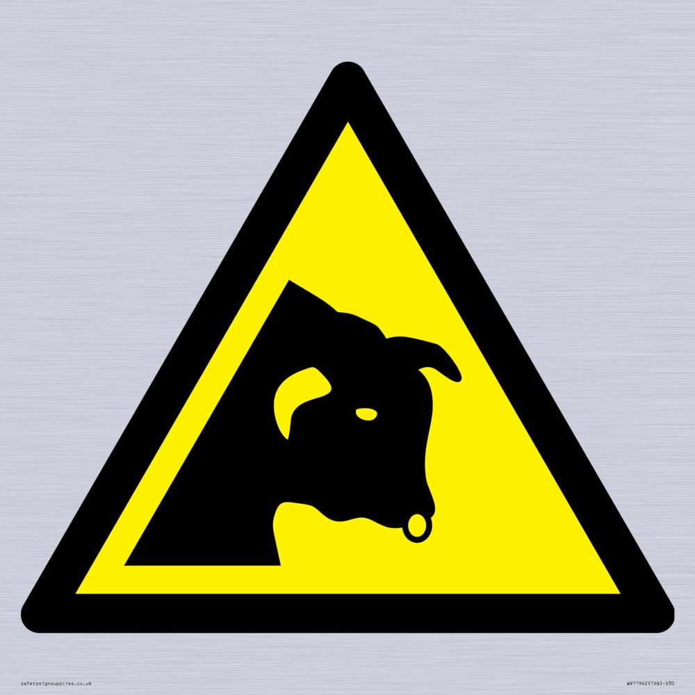 W034 Warning: Bull Sign - 300x300mm - S30