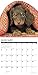 Just Dachshund Puppies 2019 Calendar