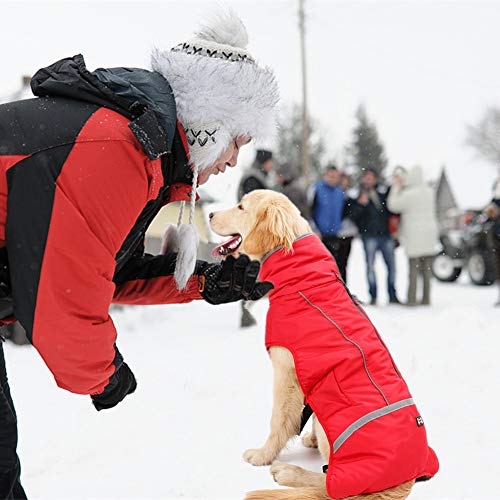 Doglay Reflective Dog Winter Coat Pet Warm Christmas Clothes