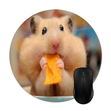 Amazoncom Cute Baby Hamsters Eat Food Mouse Pad Trendy Stylish Amazoncom Cute Baby Hamsters Eat Food Mouse Pad Trendy Stylish