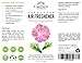 Natural Air Freshener Spray—Geranium & Lemongrass Odor Eliminator—Non-Toxic Essential Oil Deodorizer Spray for Home,Toilet,Room,Lounge,Laundry,Cabinet,Fabric;Safe for Kids & Pets—1 PK- 4 Oz