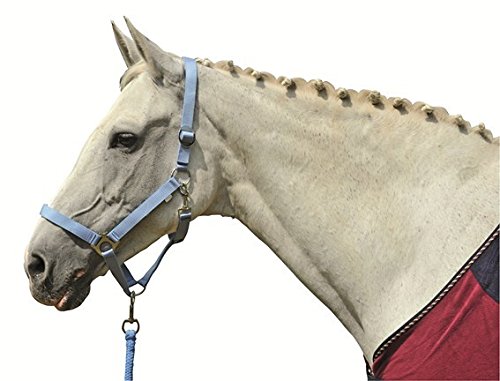 HKM Stars Economy Halter Pastellgelb Warmblut