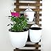 Sungmor Self Watering Wall Planter - Modern White & 3PC Pack & Large Size - Indoor Outdoor Vertical Flower Pot - Wall Mounted Window Hanging Pot - Water Storage Space Design Container