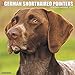 Just German Shorthaired Pointers 2019 Wall Calendar (Dog Breed Calendar)