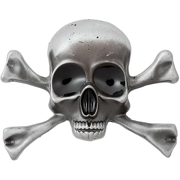 Amazon.com: Gothic Skull and Crossbones Jacket or Hat Pin Polished