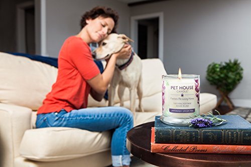 Pet House Candle in 15 Fragrances - All Natural Soy Wax Candle and Pet Odor Eliminator - Eco-Friendly, Non-Toxic, Paraffin-Free - 60-70-Hour Burn Time - Fresh Citrus