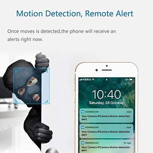 EsiCam Baby Monitor WiFi Hidden Camera Amazon Cloud Nanny Camera for Smart Phone, Toy Panda for Kids Pet Care HD 1080P Pan Tilt Motion Detection Alarm Recording Two-Way Talk Night Vision SD Card P2P