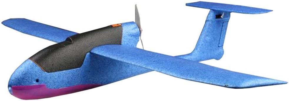 skywalker mini plus 1100mm