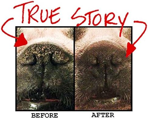 Amazon Snout Magic スナウト マジック 60g 100 天然 オーガニック犬用鼻クリーム 愛犬の乾燥して ひびが入った鼻のケアに Snout Magic ヘルスケア 通販