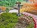 Ginsco 8pcs Miniature Fairy Garden Dollhouse Villa Style DIY Kit