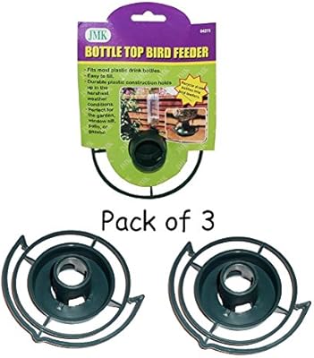 Easy To Make Your Own Recycle Empty Soda Pop Bottle Top Bird