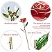 DEFAITH 24K Gold Rose Made from Real Fresh Long Stem Rose Flower, Great Anniversary Gifts for Her, Red with Stand