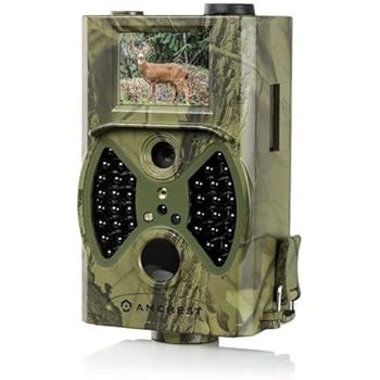 Amazon.com: Amcrest ATC-1201 12MP Digital Game Cam Trail