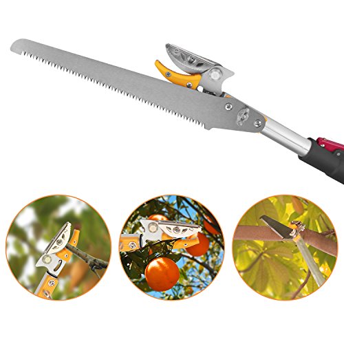 Pole saws for tree trimming, Telescopic Long Reach  Pruner 4.5-9.6 Feet | Long Handled Fruit Picker | Garden bypass Tree Lopper pruning shears With Pole Saw by Belpink - Thumbnail 2