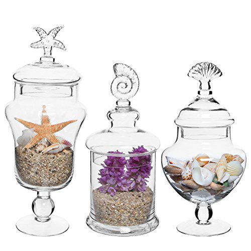 Juego de 3 tarros de botes de vidrio transparente con manija Seashell / recipientes de almacenamiento de alimentos / centros de mesa decorativos