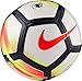 NIKE Premier League Skills Mini Soccer Ball, Size 1