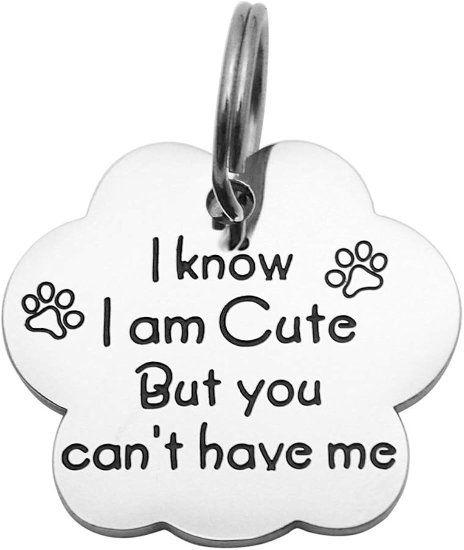 Beeshion Funny Pet Tag Stainless Steel Hand Stamped Pet