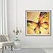 5D Full Drill Diamond Painting Kit, DIY Diamond Rhinestone Painting Kits for Adults and Children Embroidery Arts Craft Home Decor 16 by 16 inch (Butterfly)