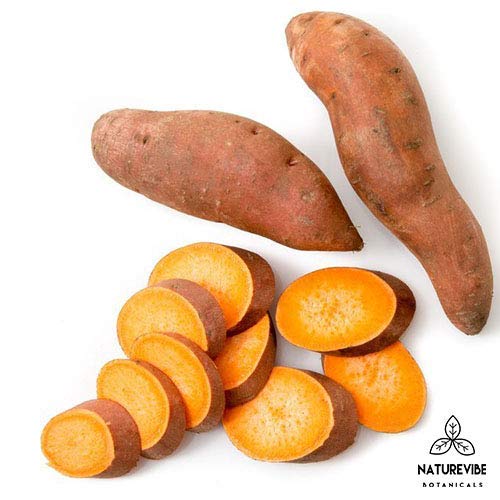 6 Naturevibe+Botanicals+Organic+Supports+Digestion