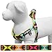 Blueberry Pet 2 Colors Soft & Comfy Step-in Southwestern Vintage Tribal Print Padded Dog Harness, Chest Girth 15.5