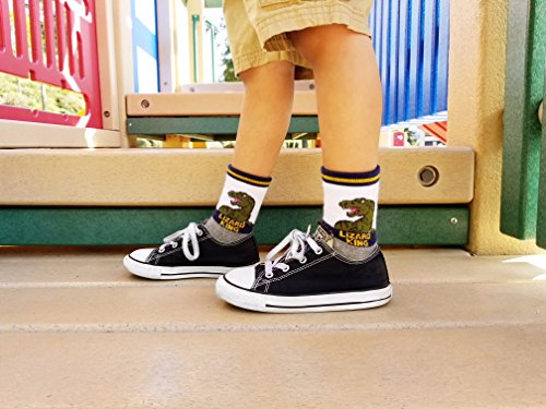 Tiny Captain Boy Dinosaur Socks 4 7 Year Old Boys Crew Cotton Sock Age 5 Gift Medium Green 