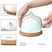 Ominihome Essential Oil Diffuser 7 Colors 200ml Cool Mist Aroma Humidifier- Wood Grain, Back-to-School