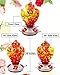 ShinyArt Hummingbird Feeder for Outdoors, 38 Ounces, Red Phoenix, Including Ant Moat, S Hook, Hemp Rope, Brush, Cleaning Rag and Service Card