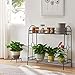 2-Tier Metal Plant Stand Flower Pot Holder for Indoor Outdoor Decor, 33 1/2 x 13 1/2 x 32 5/16 in.(LxDxH)