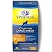 Wellness Natural Pet Food Complete Health Natural Dry Large Breed Puppy Food, Chicken, Salmon & Rice, 30-Pound Bag