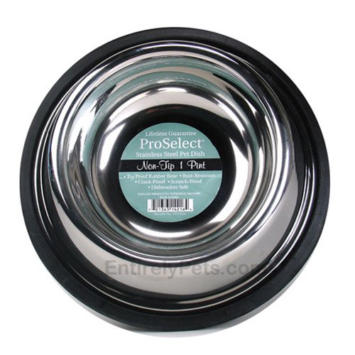 ProSelect Stainless Steel X-Super Heavyweight Non-Tip Pet Bowl, 5-1/2-Inch, 1-Pint