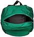 Jansport Superbreak Backpack, Amazon Green, One Size