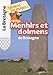 Menhirs et dolmens de Bretagne by