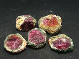 One (1) Ruby In Zoisite Crystal From Tanzania - 1.0"