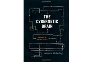The Cybernetic Brain: Sketches of Another Future