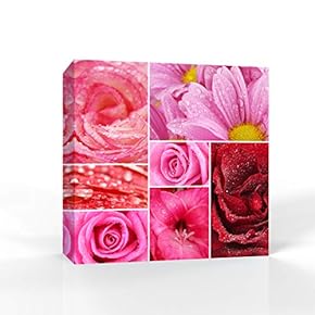 Canvas Wall Art Beautiful Flowers Pictures Home Wall Decorations for Bedroom Living Room Paintings Canvas Prints Framed - 12x12 inches
