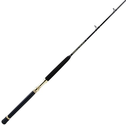 g loomis saltwater rods